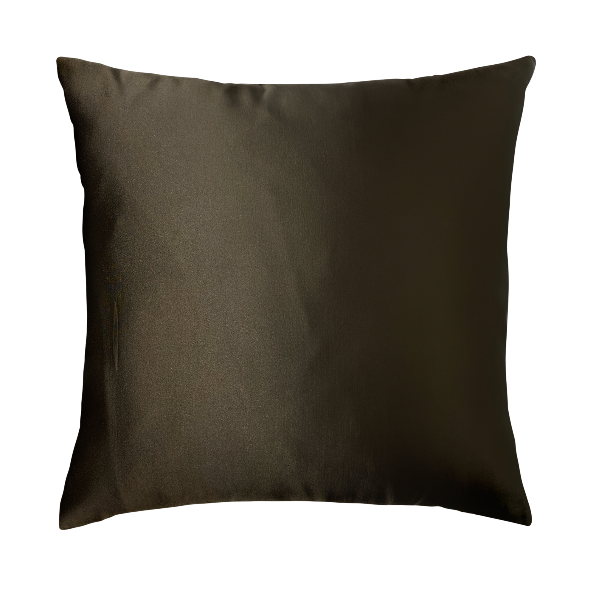Chatham Throw Pillow